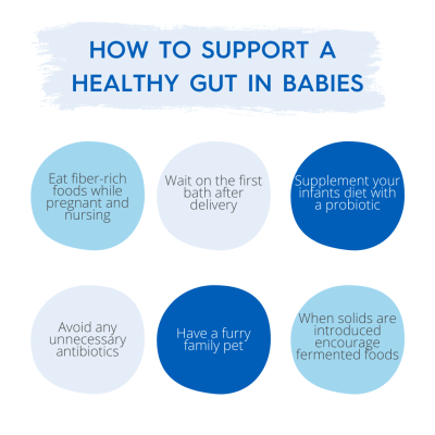 How to Support a Healthy Gut in Babies 
