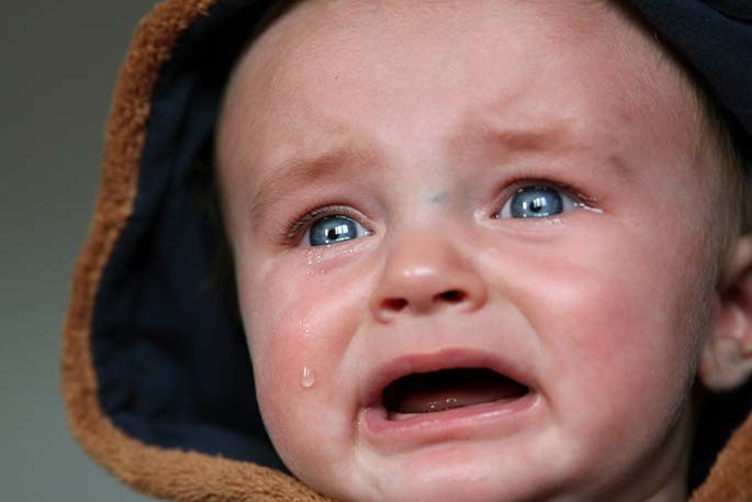 Baby Tears