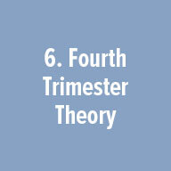 fourth trimester theory